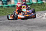 20110501_ales_agnus (2985)